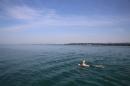 Bodenseeequerung-Bodenseeboot-Laier-250719-Bodensee-Community-SEECHAT_DE-IMG_2593.JPG