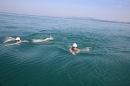 Bodenseeequerung-Bodenseeboot-Laier-250719-Bodensee-Community-SEECHAT_DE-IMG_2713.JPG