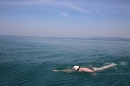 Bodenseeequerung-Bodenseeboot-Laier-250719-Bodensee-Community-SEECHAT_DE-IMG_2716.JPG