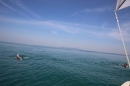 Bodenseeequerung-Bodenseeboot-Laier-250719-Bodensee-Community-SEECHAT_DE-IMG_2719.JPG