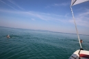 Bodenseeequerung-Bodenseeboot-Laier-250719-Bodensee-Community-SEECHAT_DE-IMG_2720.JPG