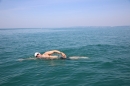 Bodenseeequerung-Bodenseeboot-Laier-250719-Bodensee-Community-SEECHAT_DE-IMG_2732.JPG