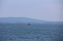 BODENSEEBOOT-Querung-Patrick-Loechle-010819-Bodensee-Community-SEECHAT_DE-IMG_3275.JPG