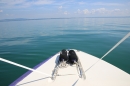 BODENSEEBOOT-Querung-Patrick-Loechle-010819-Bodensee-Community-SEECHAT_DE-IMG_3334.JPG