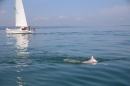 BODENSEEBOOT-Querung-Patrick-Loechle-010819-Bodensee-Community-SEECHAT_DE-IMG_3338.JPG