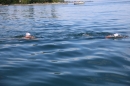 BODENSEEBOOT-Ulrike-Roedel-2019-Bodensee-Community-SEECHAT_DE-_62_.JPG