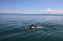 BODENSEEBOOT-Querung-Stefan-Koske-FN-140819-Bodensee-Community-SEECHAT_DE-IMG_4560.JPG