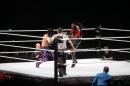 WWE-Zuerich-2019-11-13-Bodensee-Community-SEECHAT_DE-_350_.JPG