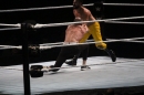 WWE-Zuerich-2019-11-13-Bodensee-Community-SEECHAT_DE-_420_.JPG