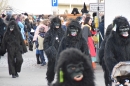 Fasnet-Umzug-Langenargen-190120-Bodensee-Community-seechat_de-_576_.JPG