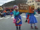 Fasnetsumzug-Zwiefalten-2020-02-23-Bodensee-Community-SEECHAT_DE-_82_.JPG