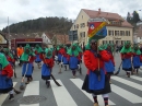 Fasnetsumzug-Zwiefalten-2020-02-23-Bodensee-Community-SEECHAT_DE-_90_.JPG