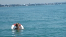 BODENSEEBOOT_DE-Querung-Anke-Hoehne-Friedrichshafen-Romanshorn-SEECHAT-_48_.JPG