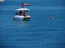 BODENSEEBOOT_DE-Querung-Anke-Hoehne-Friedrichshafen-Romanshorn-SEECHAT-_6_.jpg