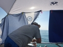 BODENSEEBOOT_DE-Querung-Anke-Hoehne-Friedrichshafen-Romanshorn-SEECHAT-_95_.JPG