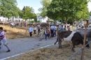 Viehschau-Herisau-Bodensee-Community-seechat-2021-_58_.jpg