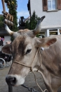 Viehschau-Herisau-Bodensee-Community-seechat-2021-_73_.jpg
