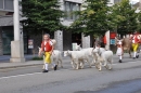 Viehschau-Herisau-Bodensee-Community-seechat-2021-_75_.jpg