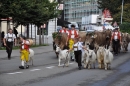 Viehschau-Herisau-Bodensee-Community-seechat-2021-_8_.jpg