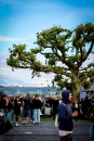 Grillentanz-Arbon-28-05-2022-Bodensee-Community-SEECHAT_DE-_89_.jpg