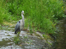 BADEN-BADEN-Weltkulturerbe-Fest-220605-Bodensee-Community-SEECHAT_DE-_238_.JPG