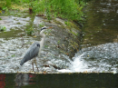 BADEN-BADEN-Weltkulturerbe-Fest-220605-Bodensee-Community-SEECHAT_DE-_239_.JPG