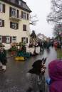 Jubilaeumsumzug-Heiligenberg-08012023-Bodenseecommunity-seechat_de-029.jpg