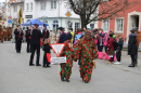 Umzug-Tettnang-Bodensee-Community-SEECHAT_DE-29-01-2023-2023-01-29IMG_6552.JPG