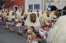 Umzug-Tettnang-Bodensee-Community-SEECHAT_DE-29-01-2023-2023-01-29IMG_6679.JPG