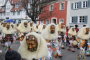 Umzug-Tettnang-Bodensee-Community-SEECHAT_DE-29-01-2023-2023-01-29IMG_6685.JPG
