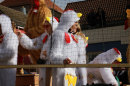 Narrenumzug-Markdorf-19022023-Bodenseecommunity-seechat_de-046.jpg