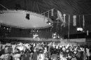 xMaskenball-Amriswil-Bodensee-Community-SEECHAT_DE-2023-03-04-_89_.jpg
