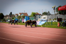 WELTKLASSE-AM-SEE-Arbon-20-05-2023-Bodensee-Community-SEECHAT_DE-_659_.jpg