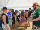 HAILTINGEN-Festival-ohne-Bands-2023-BodenseeCommunity-SEECHAT_DE-_311_.JPG
