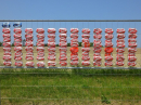 HAILTINGEN-Festival-ohne-Bands-2023-BodenseeCommunity-SEECHAT_DE-_55_.JPG