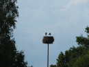 SEECHAT_OGGELSHAUSEN-Flohmarkt-2023-_3_.JPG