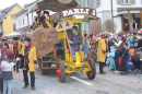 Fasnachtsumzug-Dagmersellen-2024-Bodensee-Community-SEECHAT_DE-IMG_7751.jpg