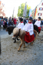 Blutritt-Weingarten-2024-Bodensee-Community-SEECHAT_DE-_94_.JPG