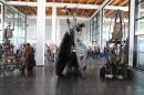 Klassikwelt-Messe-Friedrichshafen-2024-Bodensee-Community-SEECHAT_DE-3H4A5594.JPG