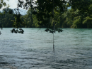 Aareboeble-thun-kisen-2024-BodenseeCommunity-SEECHAT_DE-P1020339.JPG