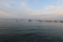 SummerDays-Arbon-2024-BodenseeCommunity-SEECHAT_DE-3H4A6169.JPG