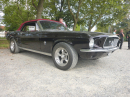 US-Car-Treffen-Weingarten-2024-BodenseeCommunity-SEECHAT_DE-P1070527.JPG