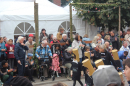 Winzerfest-Doettingen-2024-BodenseeCommunity-SEECHAT_DE-IMG_4488.JPG