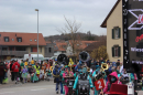 Fasnachtsumzug-Wiesendangen-2025-Bodensee-Community-SEECHAT_DE-IMG_5149.JPG