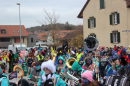 Fasnachtsumzug-Wiesendangen-2025-Bodensee-Community-SEECHAT_DE-IMG_5150.JPG