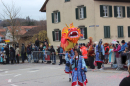 Fasnachtsumzug-Wiesendangen-2025-Bodensee-Community-SEECHAT_DE-IMG_5162.JPG