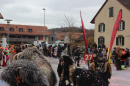 Fasnachtsumzug-Wiesendangen-2025-Bodensee-Community-SEECHAT_DE-IMG_5187.JPG