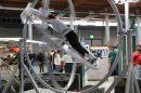 AERO-Messe-Luftfahrt-Friedrichshafen-2025-Bodensee-Community-SEECHAT_DE-3H4A7966.JPG