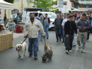 Flohmarkt-2025-Riedlingen-Bodensee-Community-SEECHAT_DE-_59_.JPG