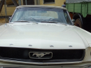 MOCHENTAL-Heckel-Oldtimer-250525DSCF9067.JPG